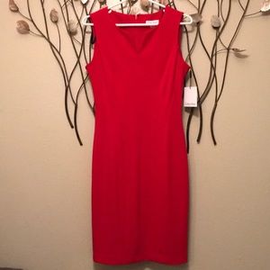 Calvin Klein Dress 🍒